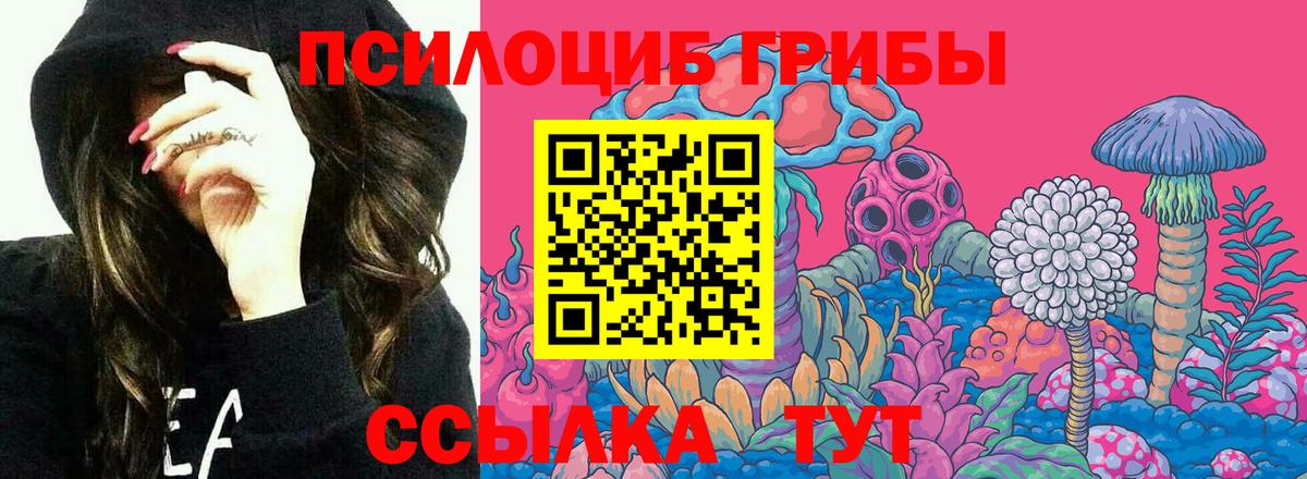 Галлюциногенные грибы Psilocybine cubensis  Галлюциногенные грибы ЛСД  Волжский  Вход с VPN 