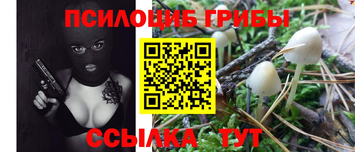 Псилоцибиновые грибы ЛСД Волжский